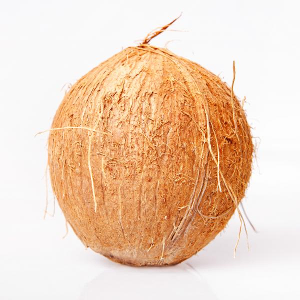 Coconut