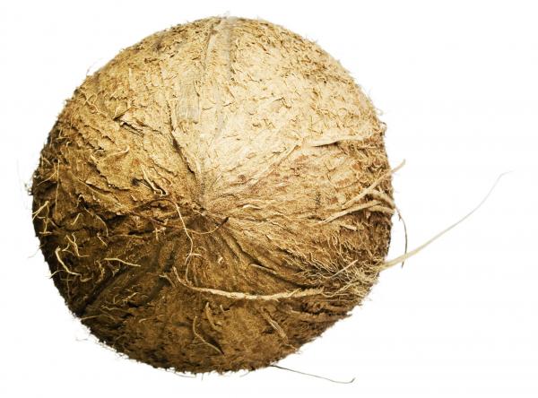 coconut