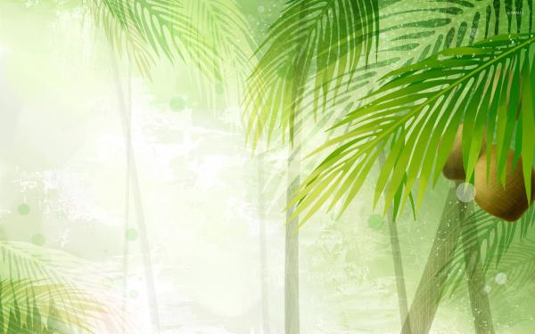 coconut background