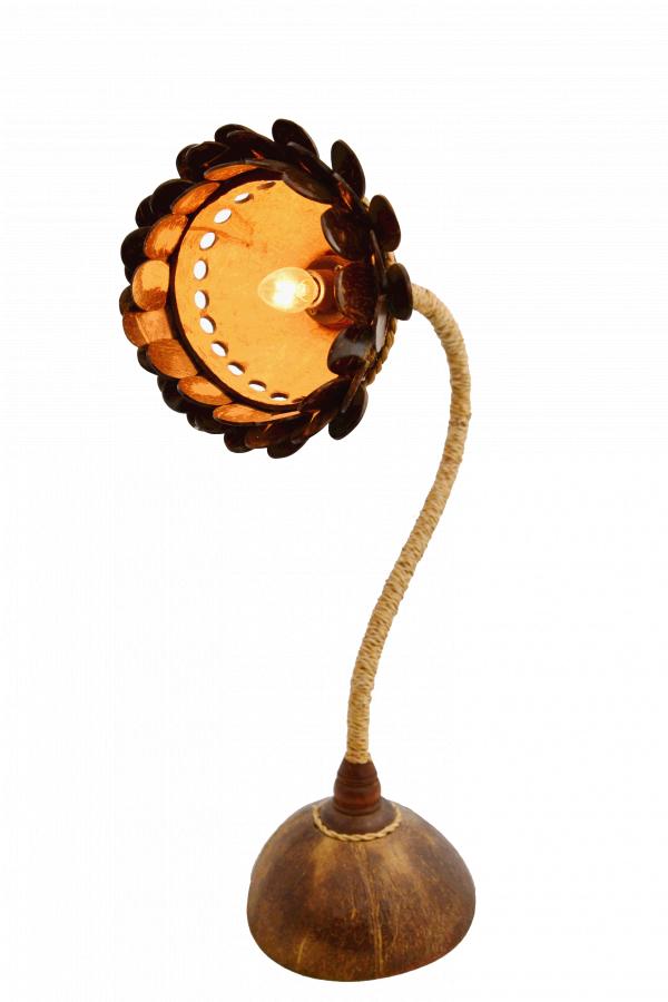 Coconut Shell Lamp