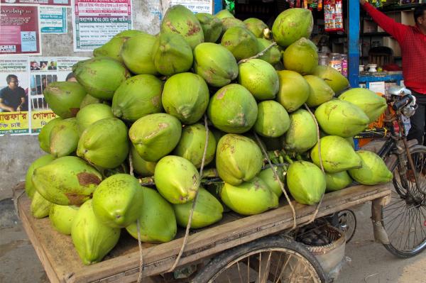 Coconuts