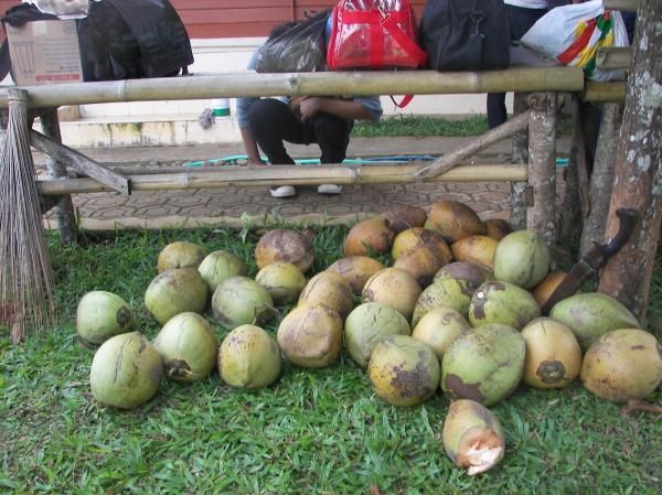 Coconuts