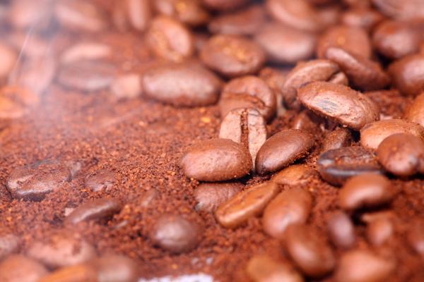 coffee beans