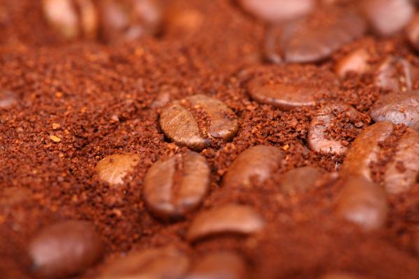 coffee beans