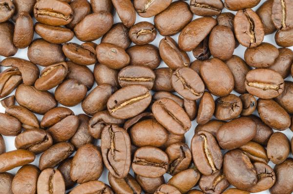 Coffee Beans