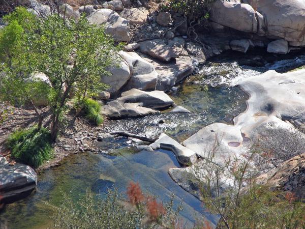 Coffee Camp Stream
