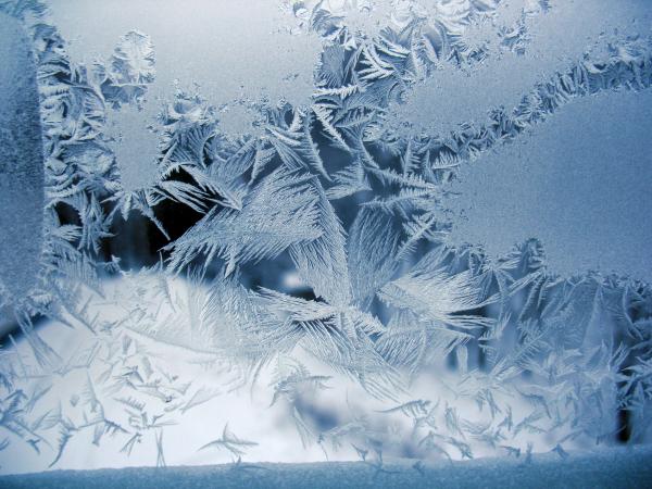 Cold winter