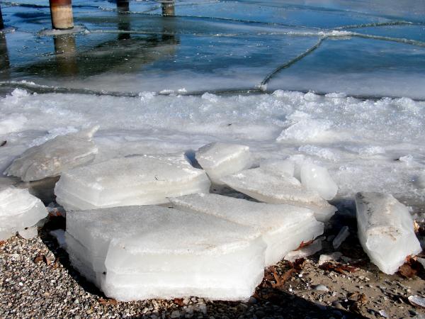 Cold Milwuakee