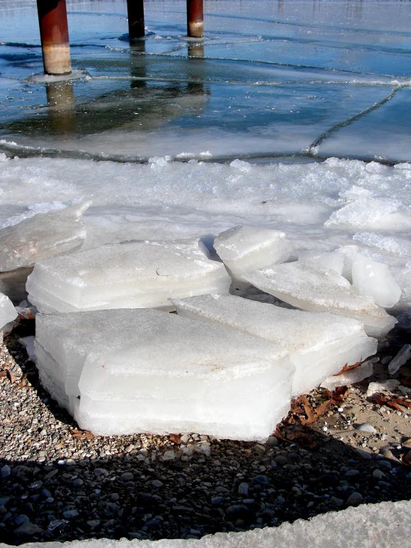 Cold Milwuakee