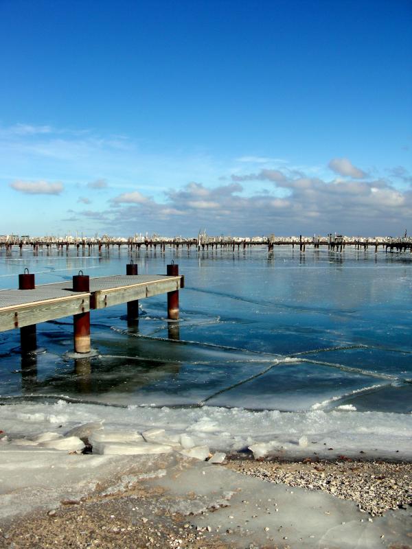 Cold Milwuakee