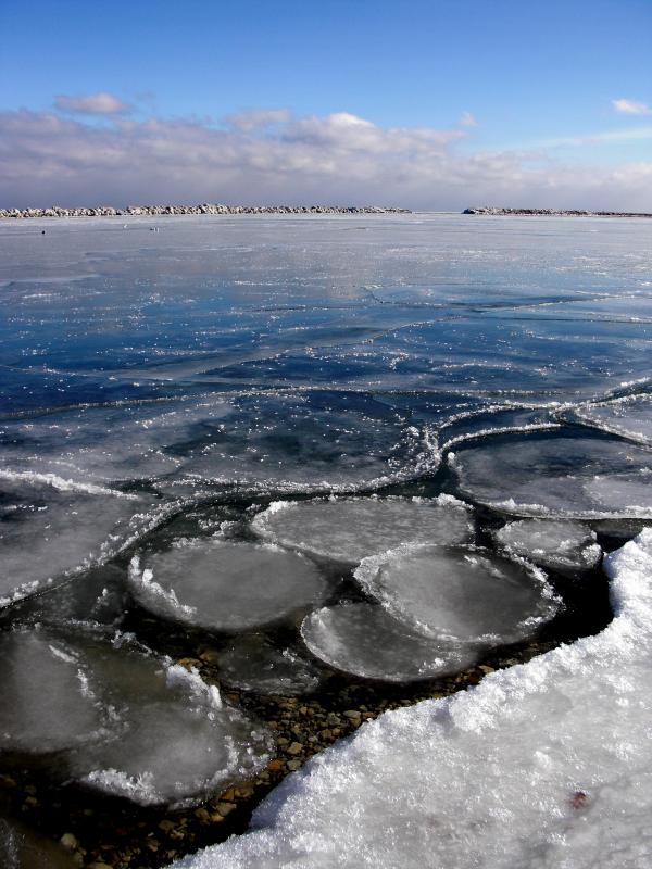 Cold Milwuakee