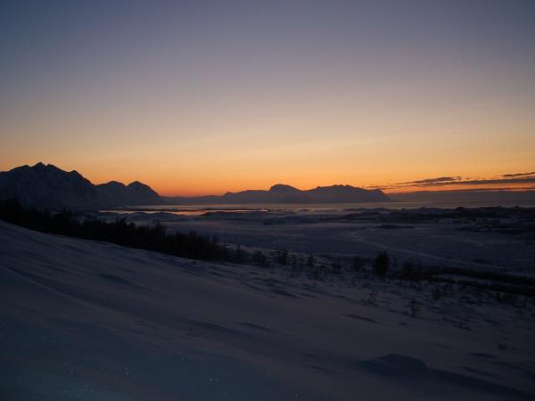 Cold North