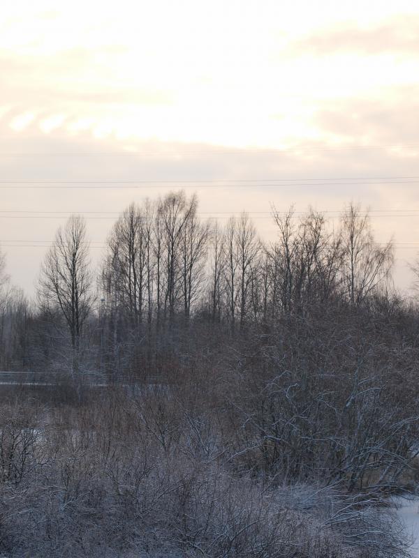 cold winter