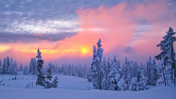 Cold winter morning