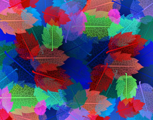 Colorful autumn leaves pattern