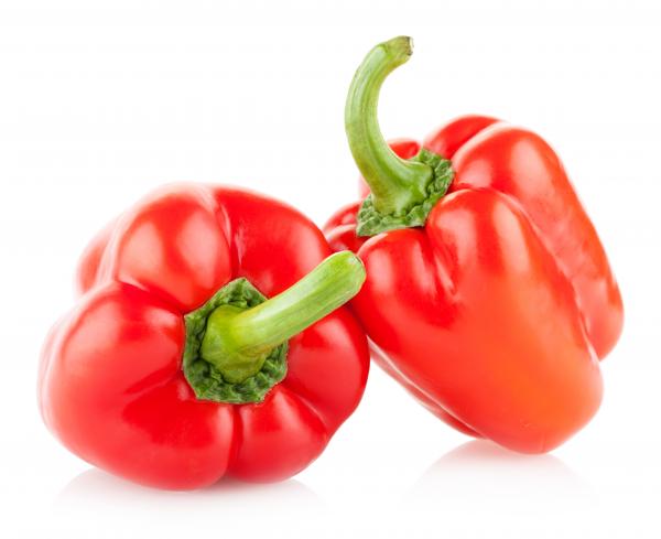 Colorful bell peppers isolated on white