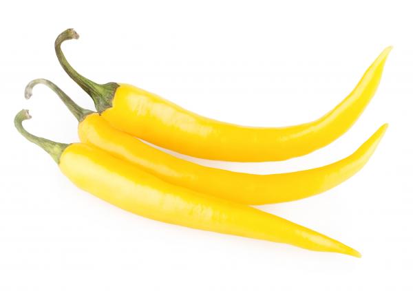 Colorful bell peppers isolated on white