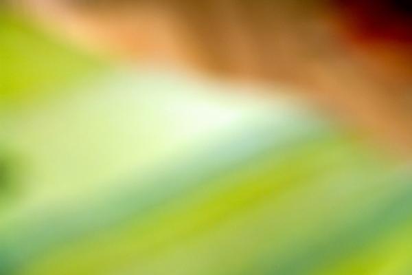 Colors