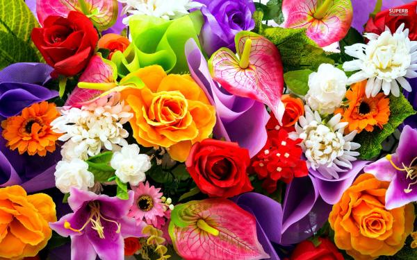 Colourful flowers