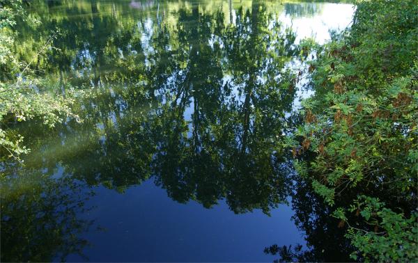 Comme un miroir dans l'eau