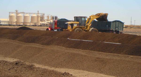 Compost windrow