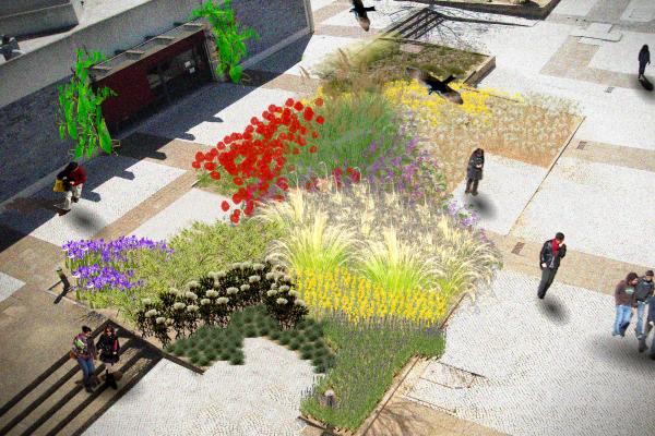 Conceptual Landscape Architecture planting plan