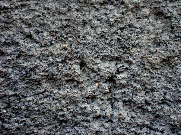 Concrete texture
