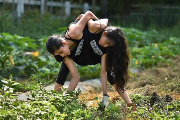 Conjoined By Nature