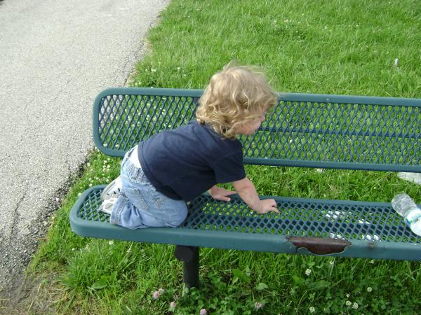 Conquering the Bench