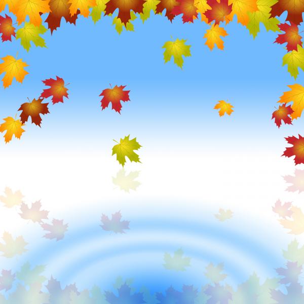 Copyspace Water Represents Plant Blank And Garden