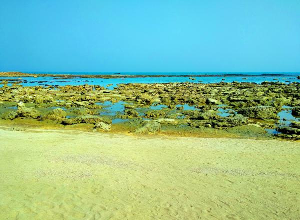 Coral Sea Beach of Chera Dwip, Saint Martin's Island