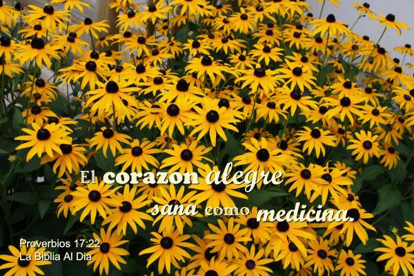 Corazon Alegre Como Medicina