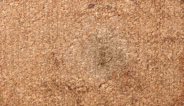 Cork Texture