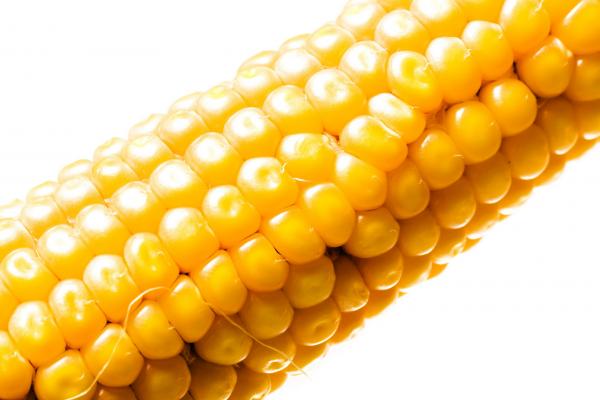 Corn