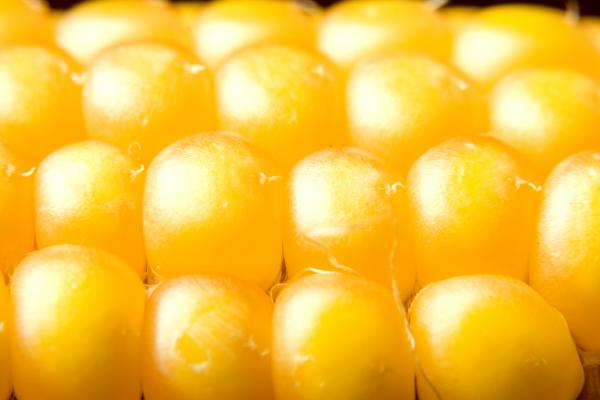 corn