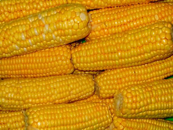 Corn on the Cob