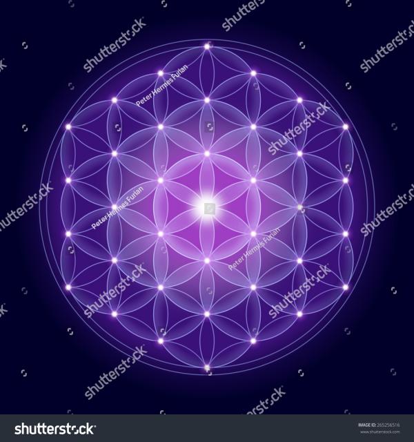 Cosmic Flower