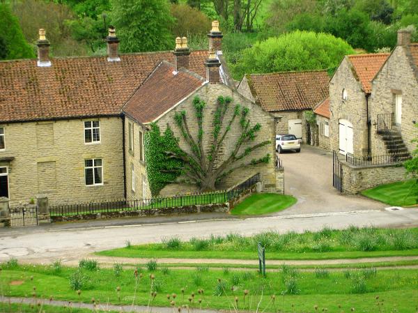 Cottage