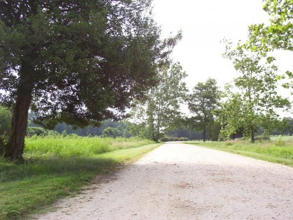 Country road