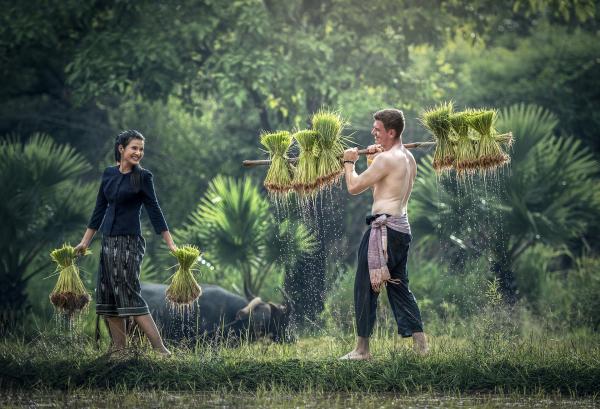 Couple in the Field