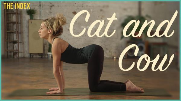 Cow Pose