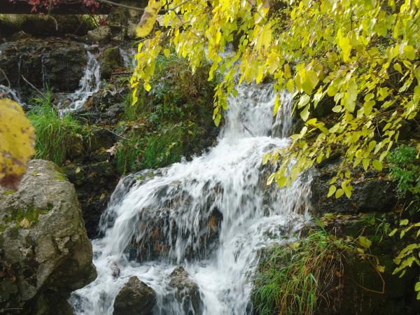 Cox Hollow Falls