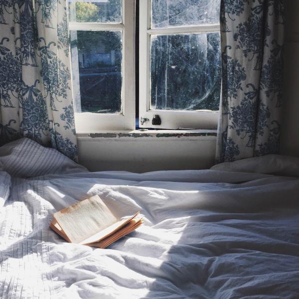 Cozy