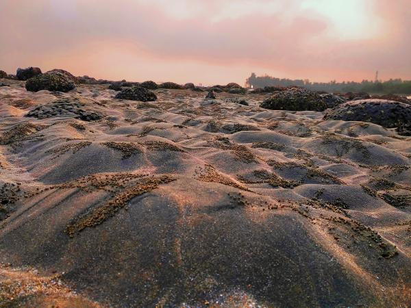 Crab Holes on Sea Beach of Saint Martin's Island at Sunrise