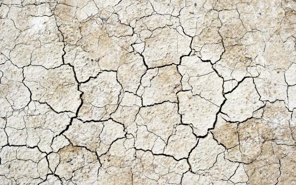 Cracked Stone Texture