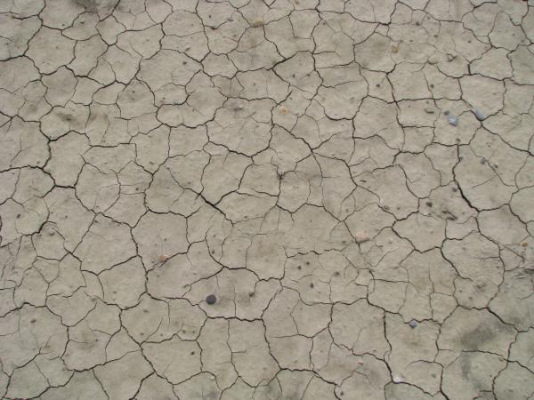 Cracked dirt Texture
