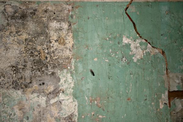 Cracked green concrete