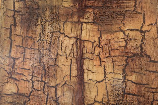 Grunge Cracked Paint