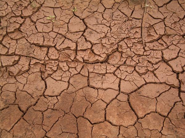 Dried Mud
