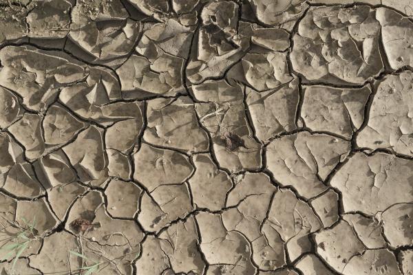Cracked texture